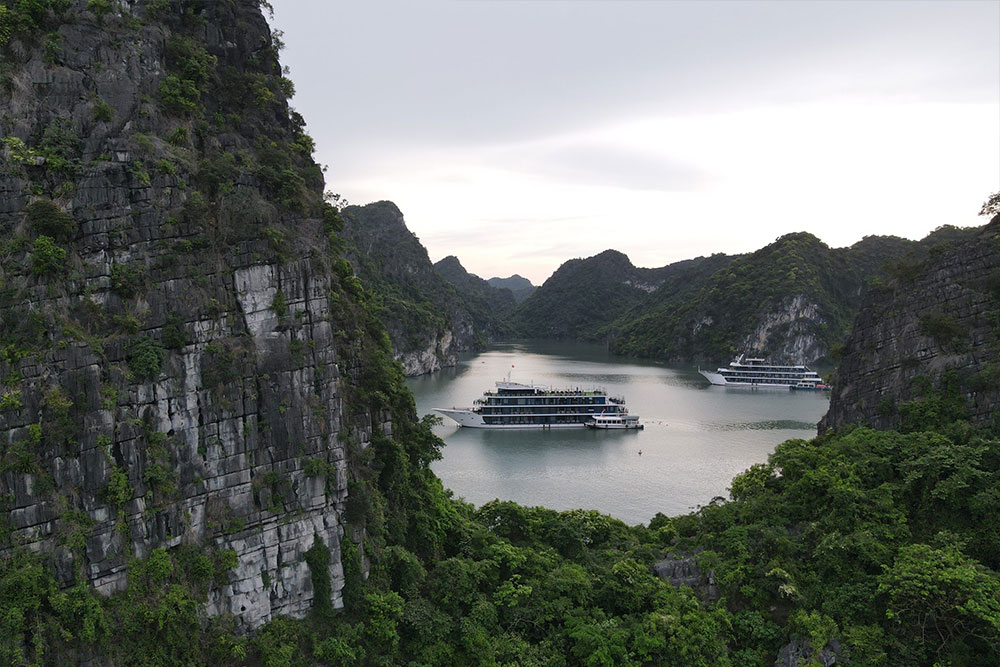 Doris Cruise (2 days 1 night or 3 days 2 nights)